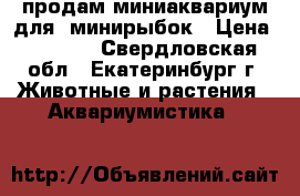 продам миниаквариум для  минирыбок › Цена ­ 1 500 - Свердловская обл., Екатеринбург г. Животные и растения » Аквариумистика   